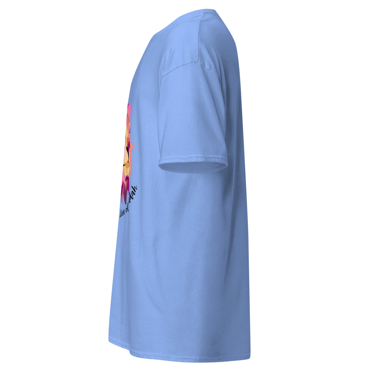 Carolina Blue | Left side profile of the Lion of Judah women's faith T-shirt  highlighting the left sleeve.